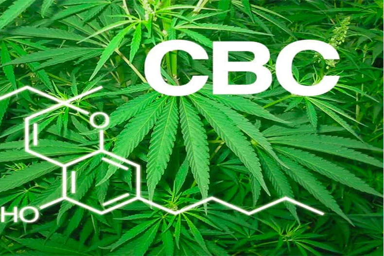 Cannabicromene (CBC)