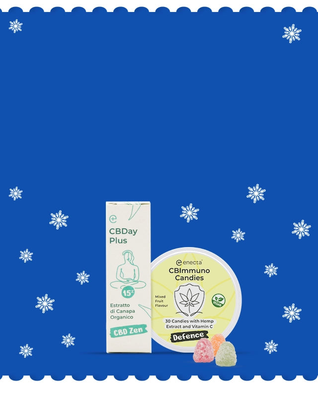 Christmas_kit