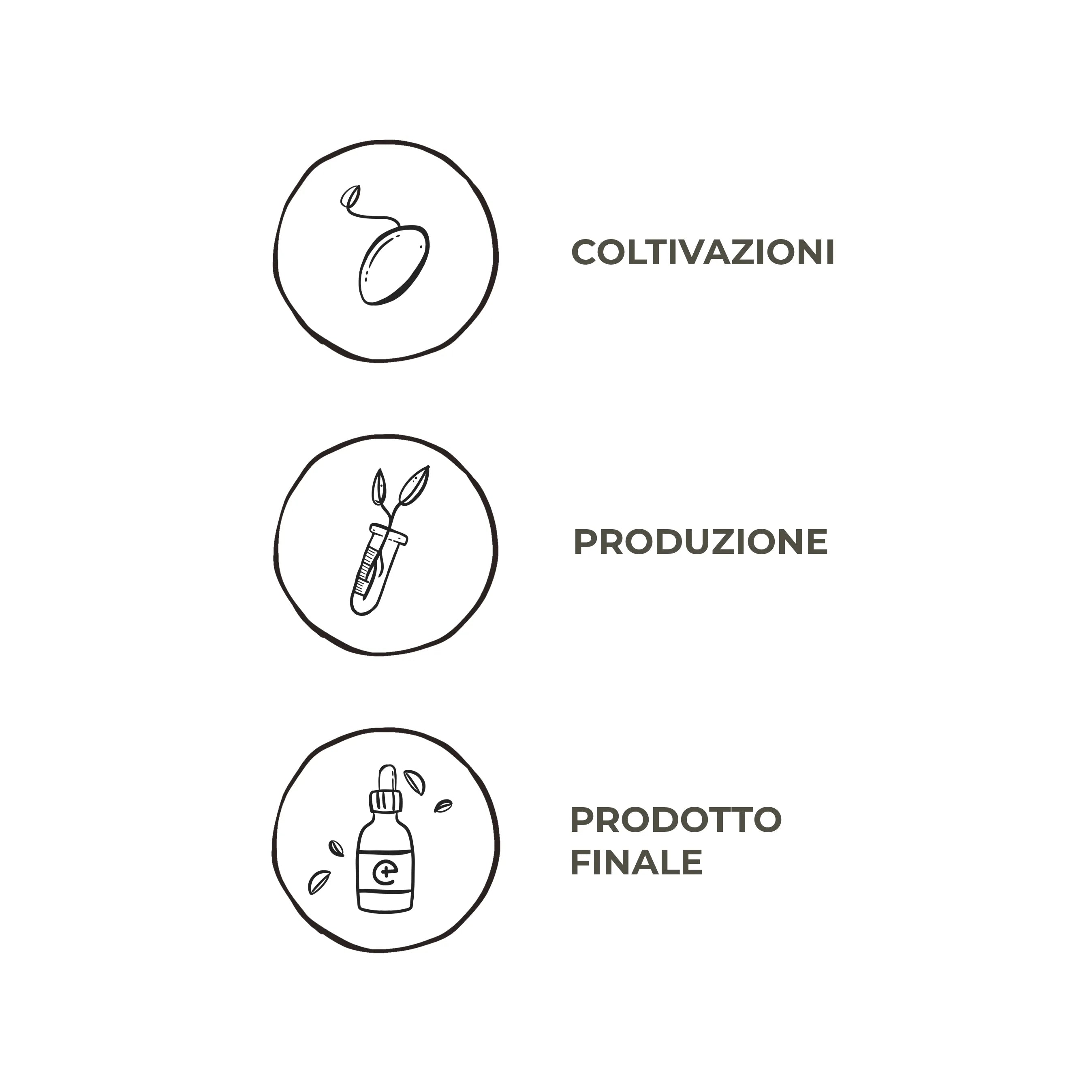 cbd-processo-produttivo