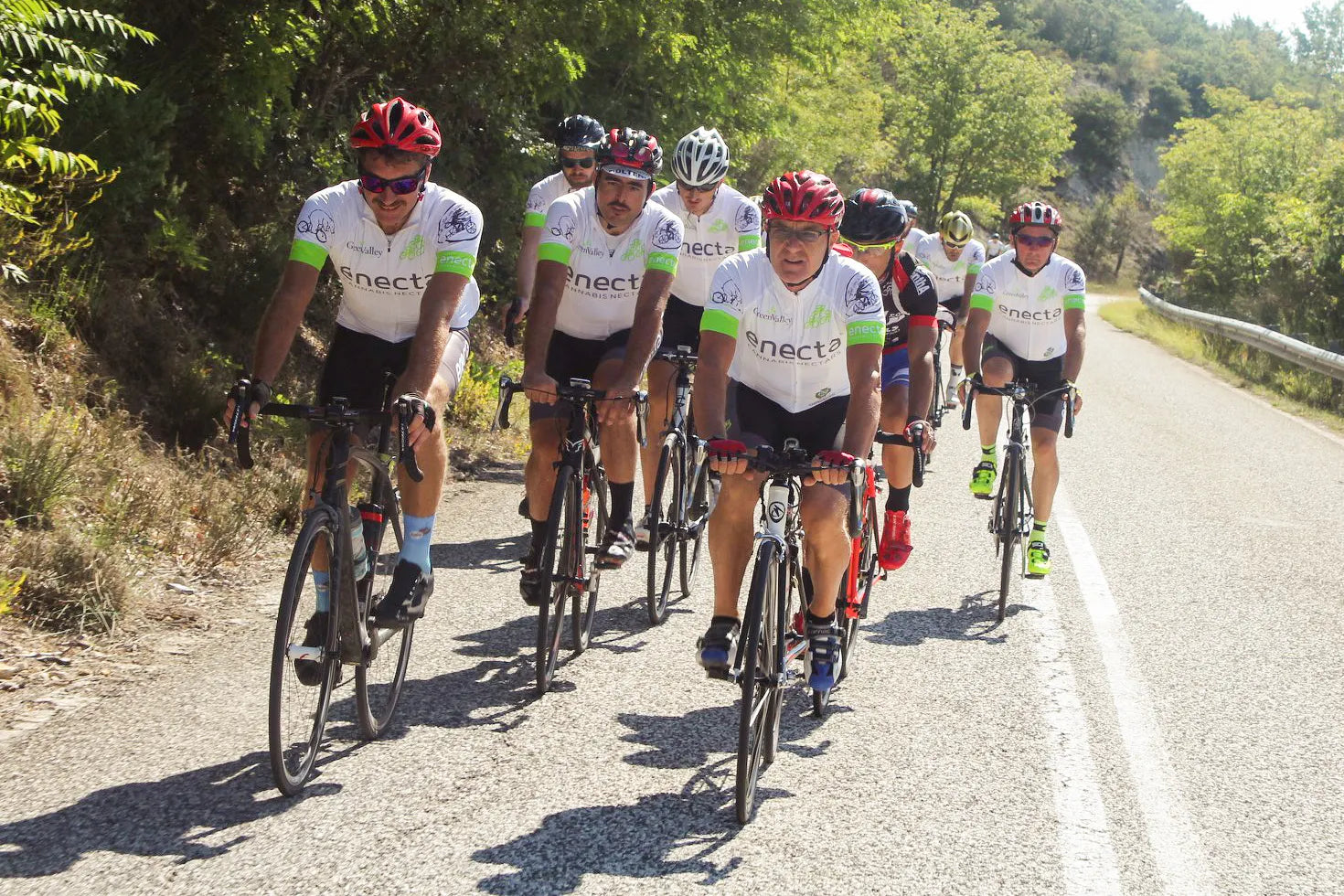 squadra ciclismo enecta