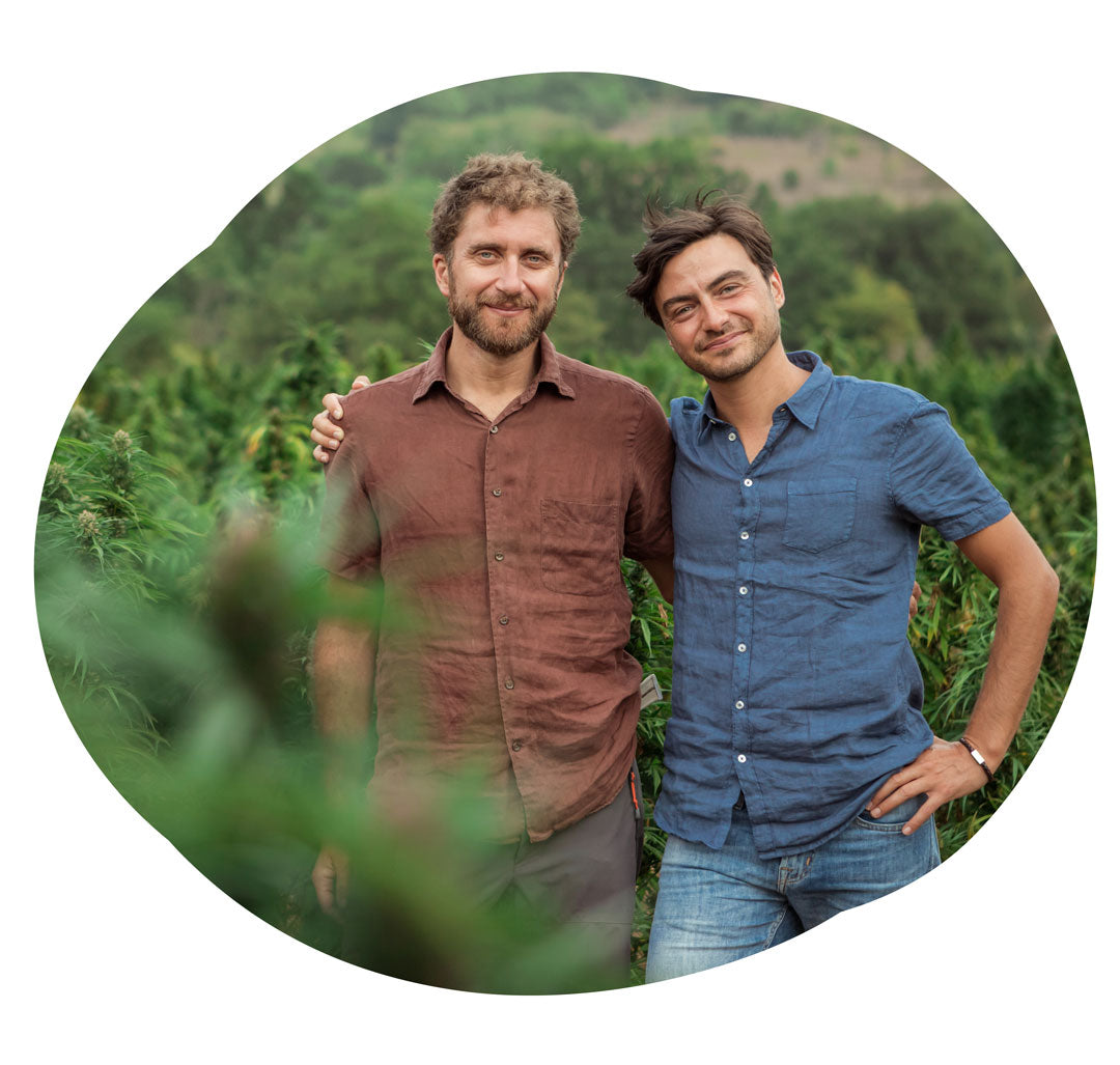 fondatori enecta in campi di canapa