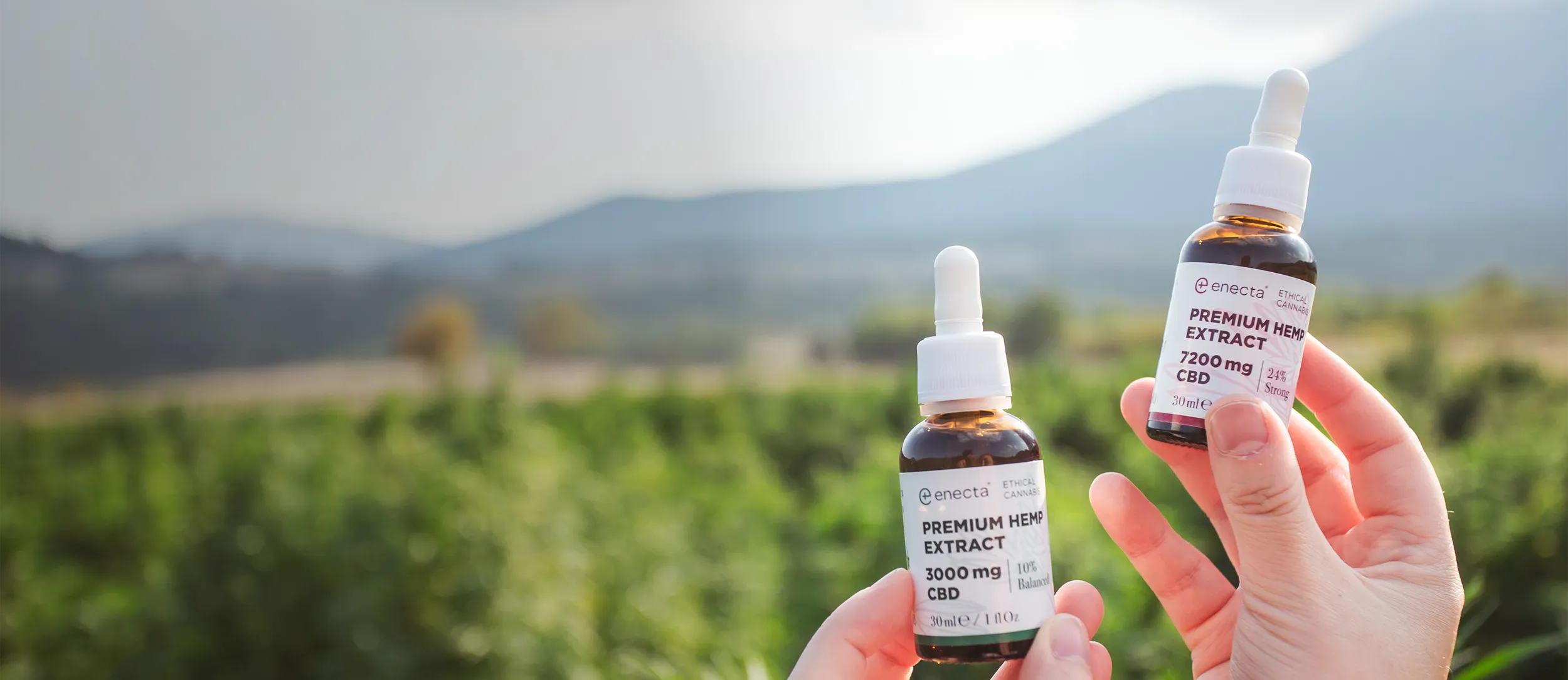 miglior-olio-di-cbd