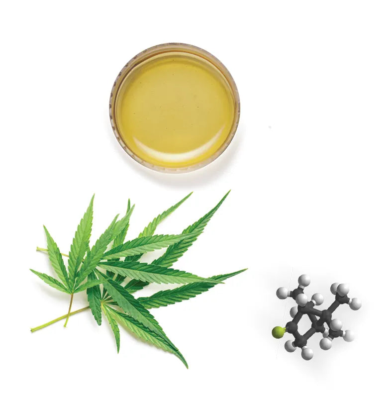 bicchiere olio foglia e molecola