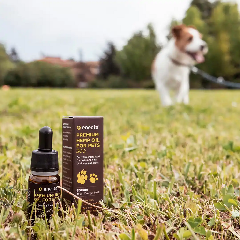 Olio di CBD per animali