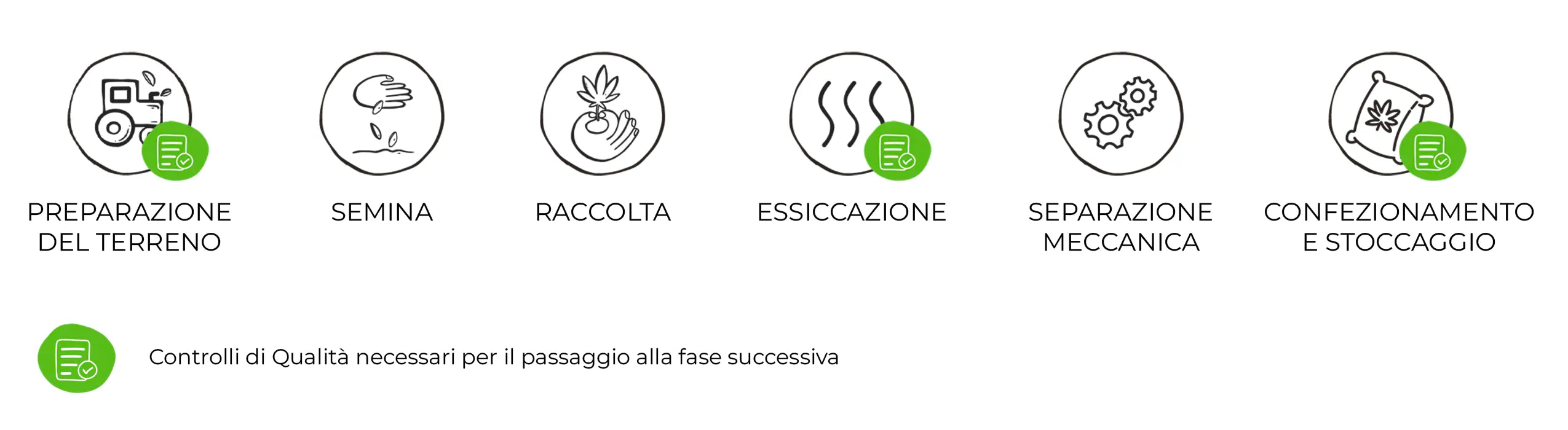 step processo di coltivazione