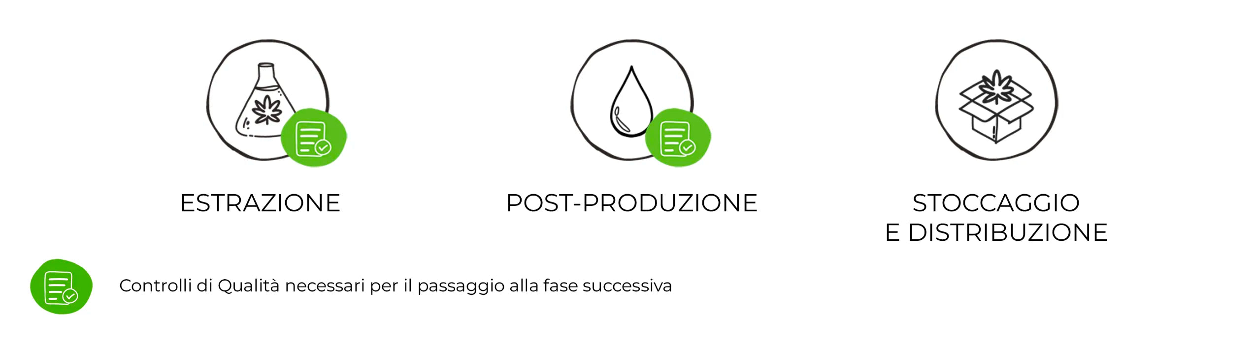 passaggi produzione olio cbd