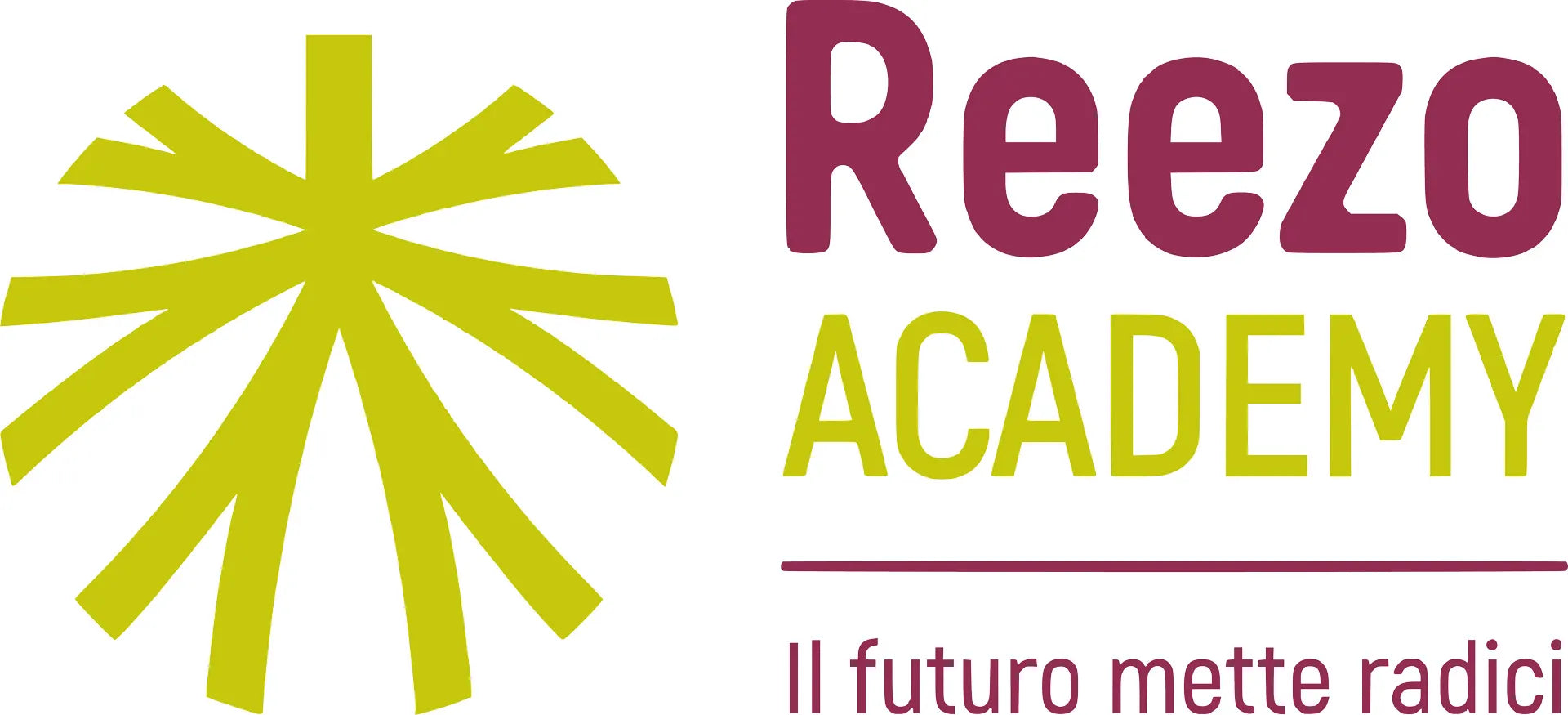 REEZO ACADEMY LOGO