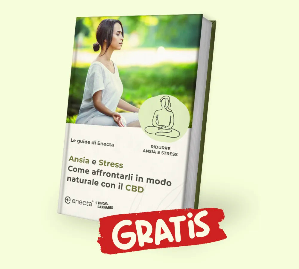 Guida gratuita