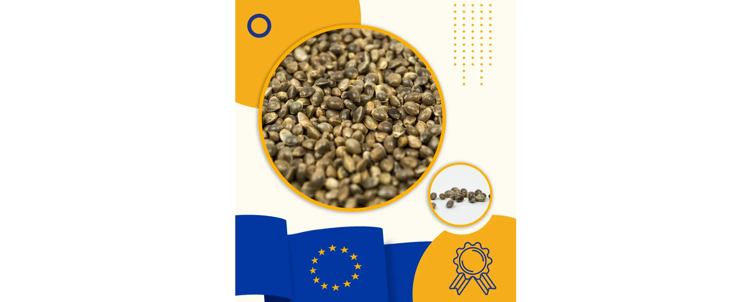 CERTIFICATO EU