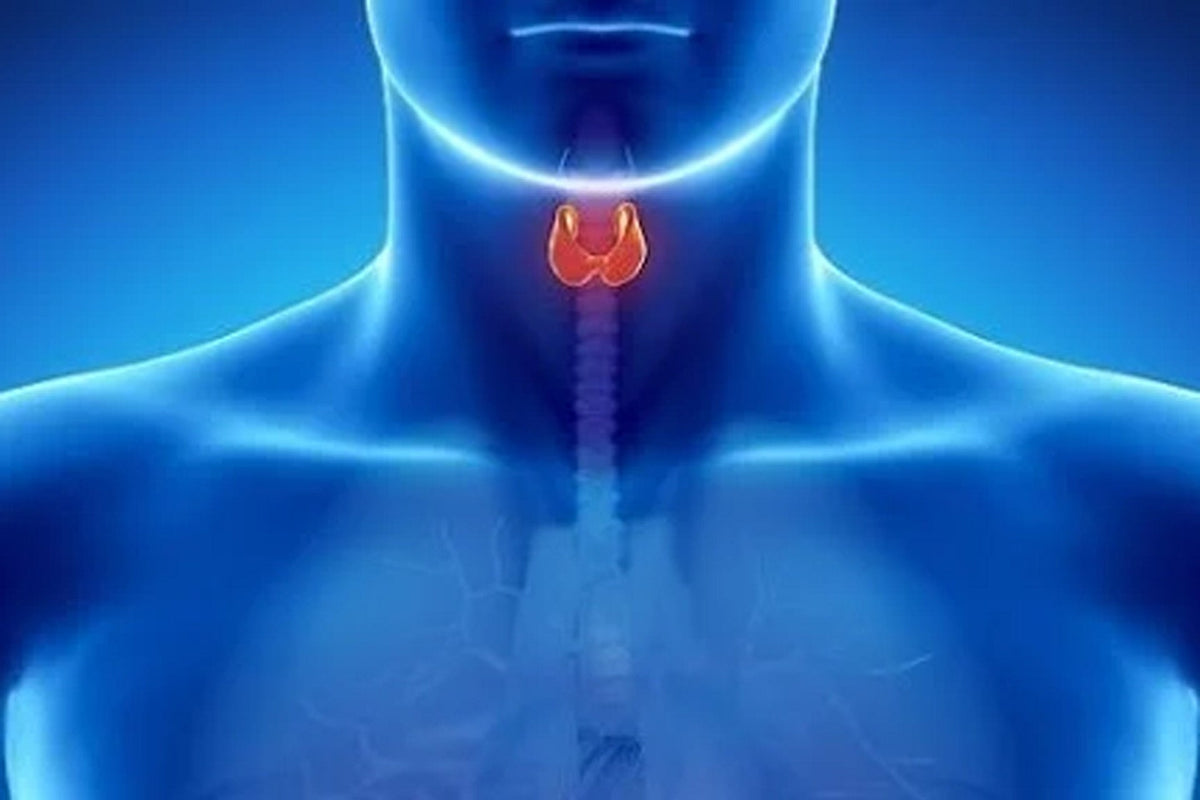cbd-disturbi-endocrini