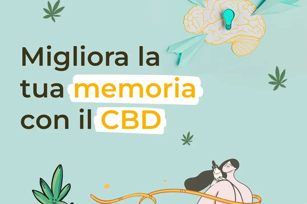 CBD e memoria - Enecta.it