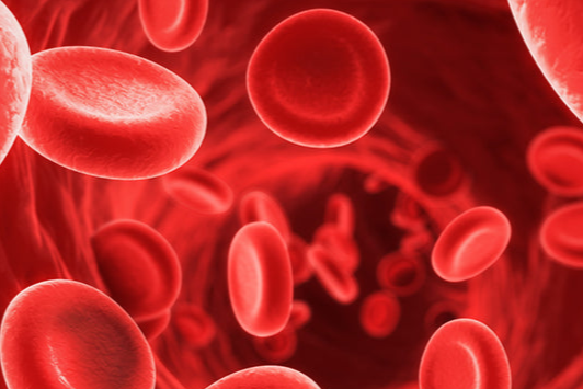 CBD e pressione sanguigna - Enecta.it
