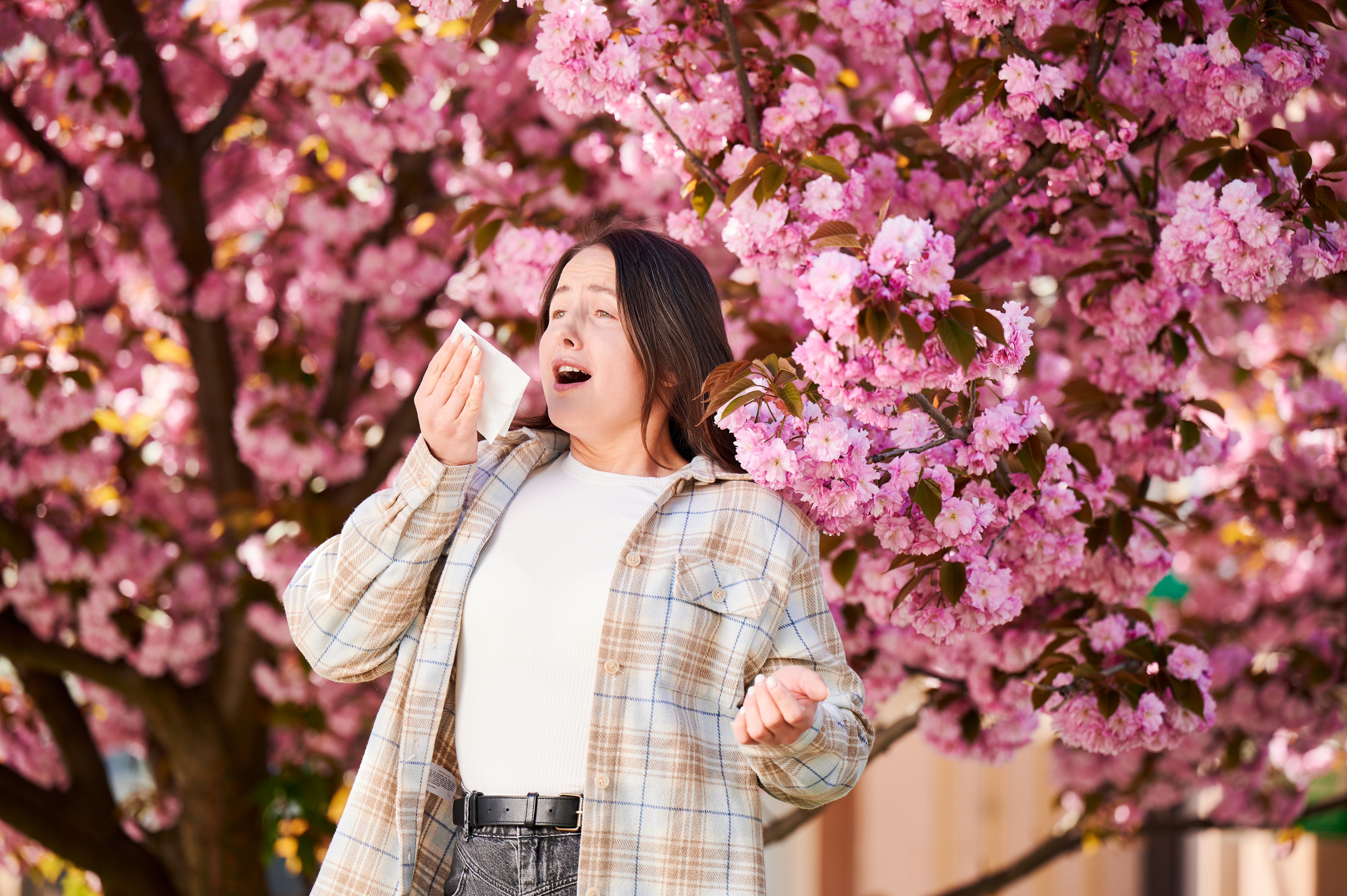 allergie-primaverili