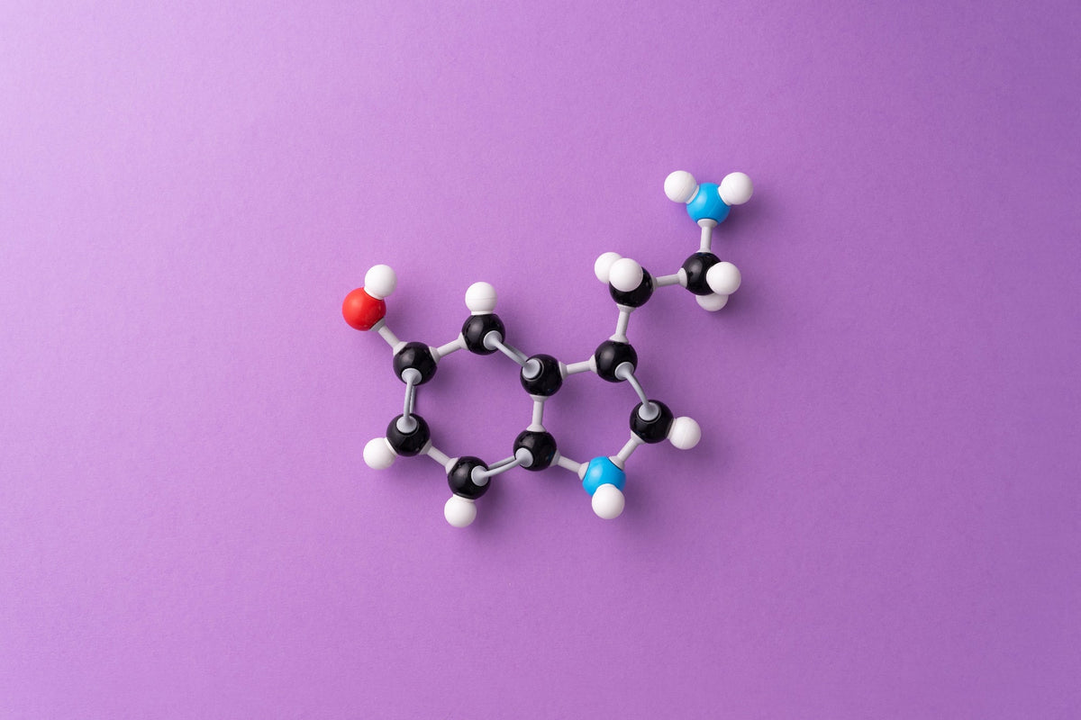 anandamide-cos'è-come-funziona