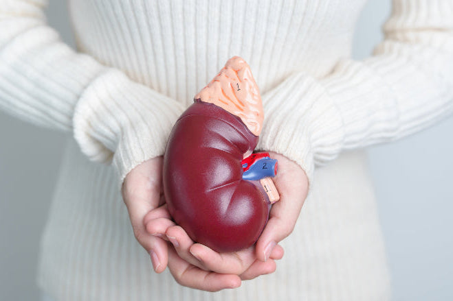 come-depurare-il-fegato-in-modo-naturale