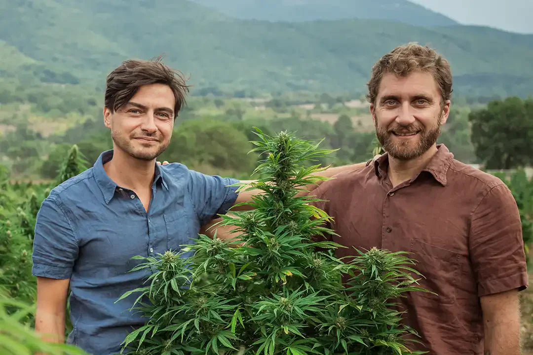 blocco-e-sblocco-sito-cbd