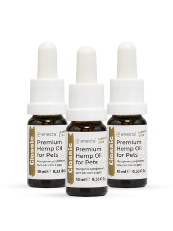 3 pack Olio CBD per animali 10 ml
