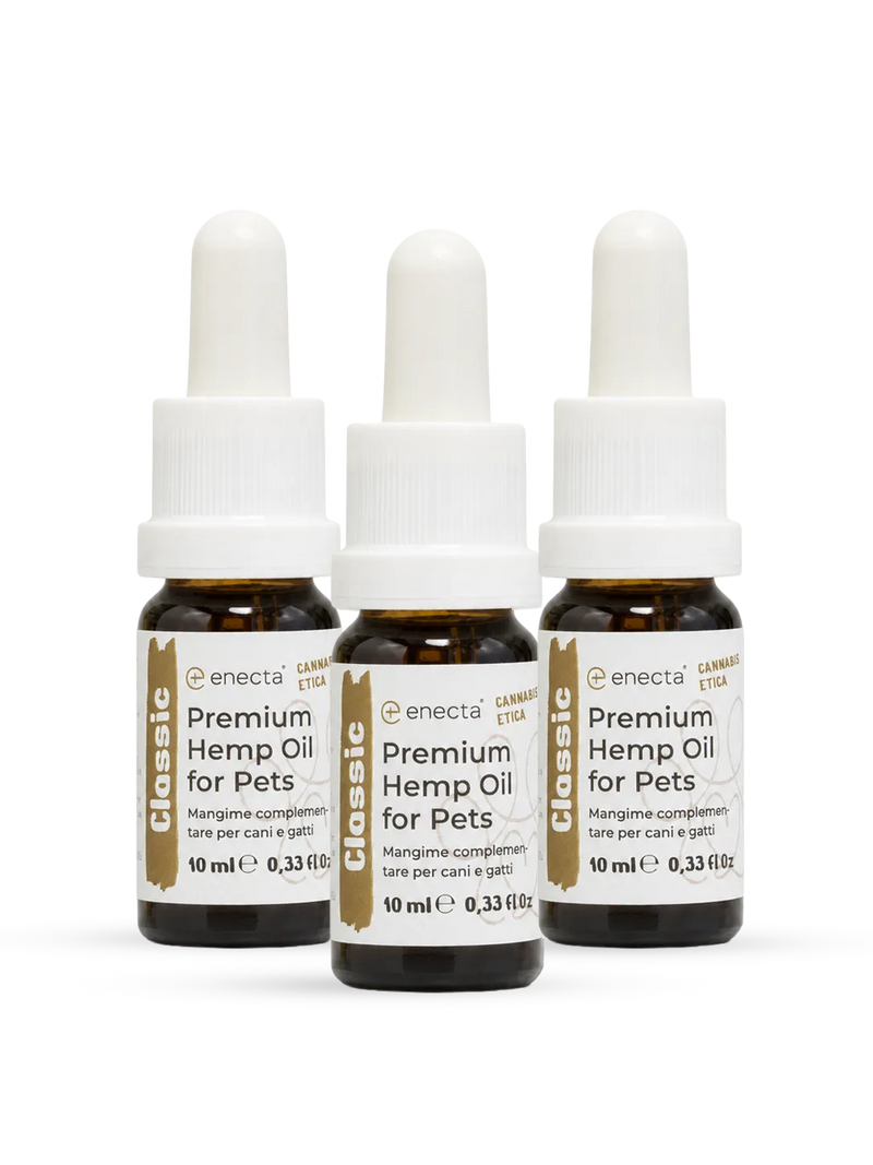 3 pack Olio CBD per animali 10 ml