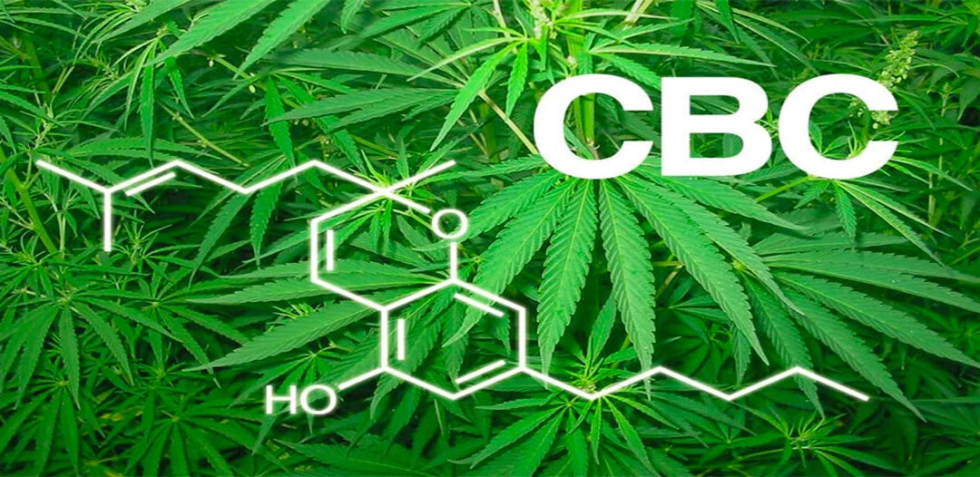 cbc-cannabicromene