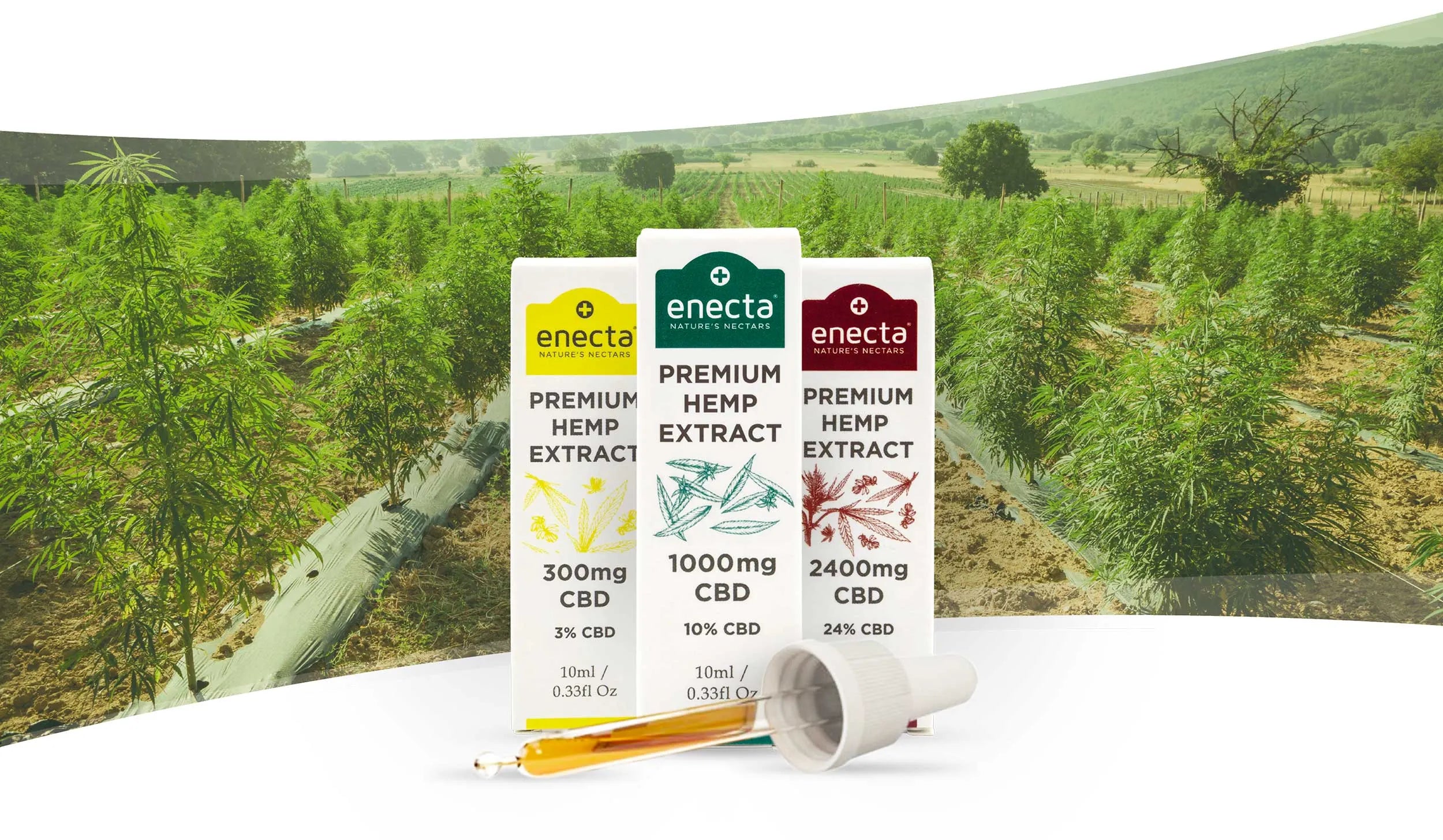 prodotti premium hemp extract, sullo sfondo una piantagione