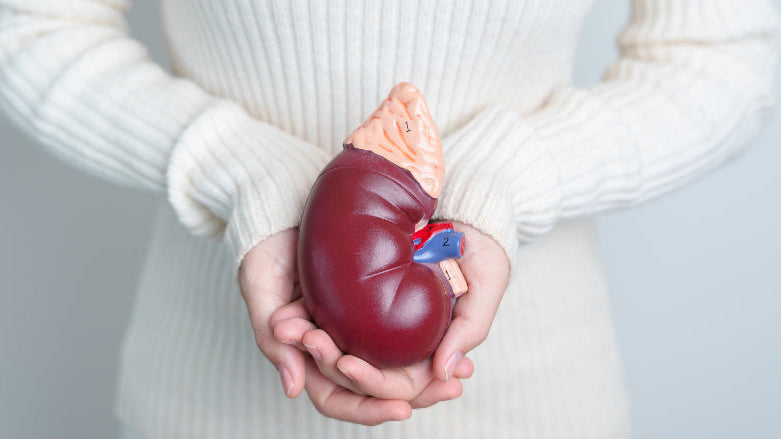 comedepurare-il-fegato-in-modo-naturale