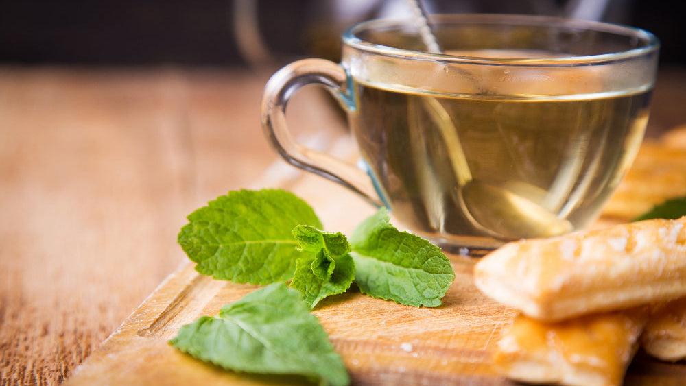 menta-piperita-proprietà