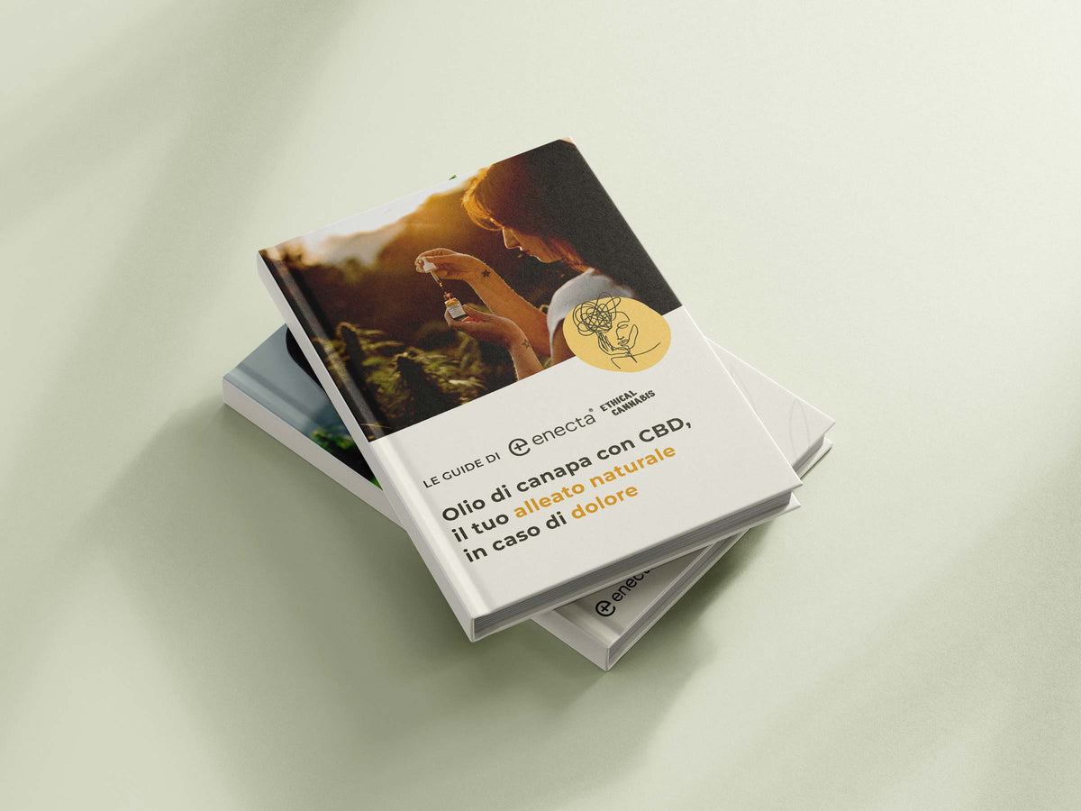 guide CBD