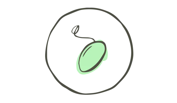 seme-di-canapa